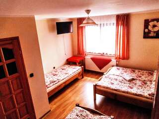 Фермерские дома Willa Wyrostek Баньска Семейный номер с видом на горы-1