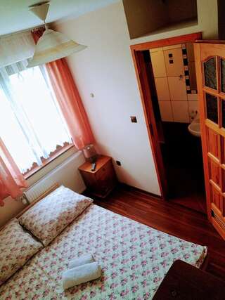 Фермерские дома Willa Wyrostek Баньска Двухместный номер с 1 кроватью и собственной ванной комнатой-1