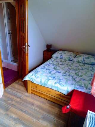 Фермерские дома Willa Wyrostek Баньска Двухместный номер с 1 кроватью и собственной ванной комнатой-3