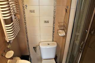 Фермерские дома Willa Wyrostek Баньска Двухместный номер с 1 кроватью и собственной ванной комнатой-3