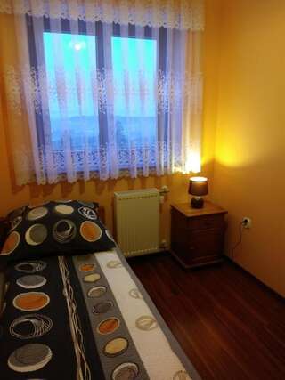 Фермерские дома Willa Wyrostek Баньска Одноместный номер с ванной комнатой-4